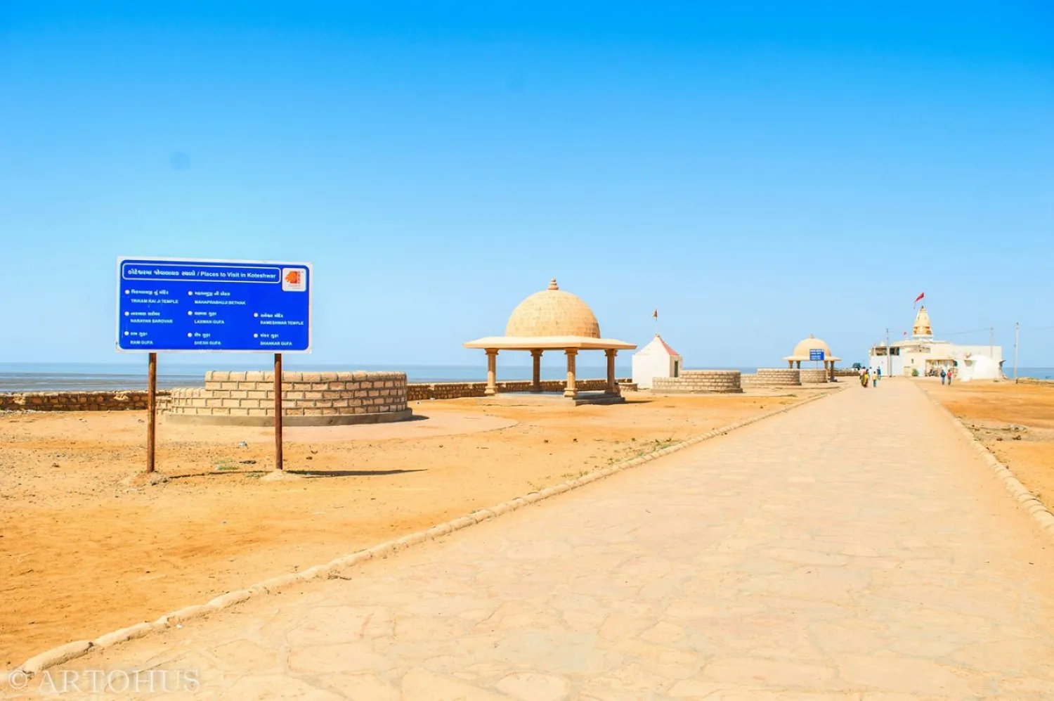 Who should visit